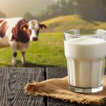 Pentingnya_Konsumsi_Ultra_Milk_Susu_UHT_dari_100__Susu_Sapi_Segar